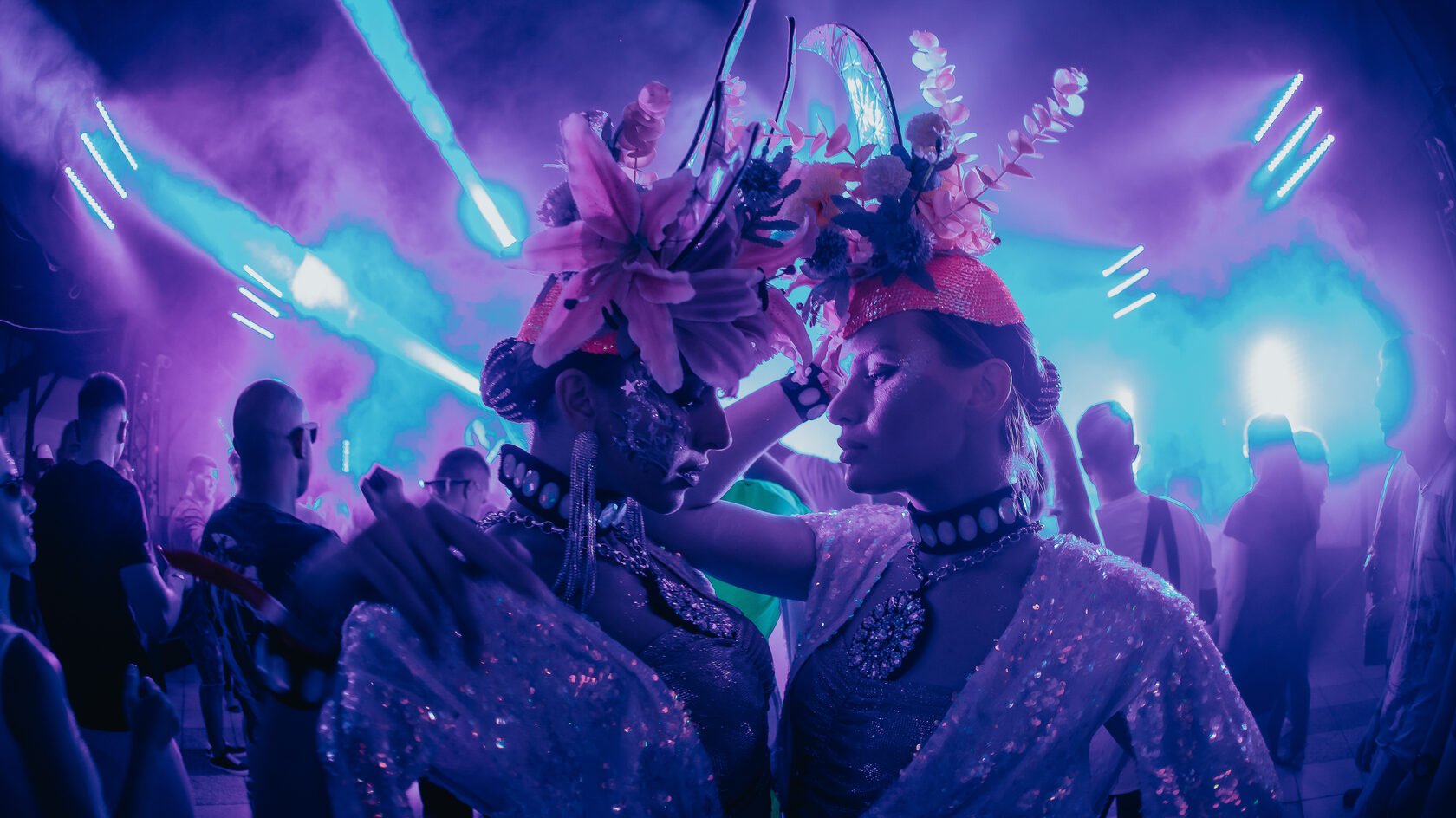 Trip Festival 2027